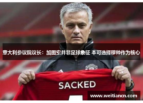 意大利参议院议长：加图索并非足球象征 本可选择穆帅作为核心